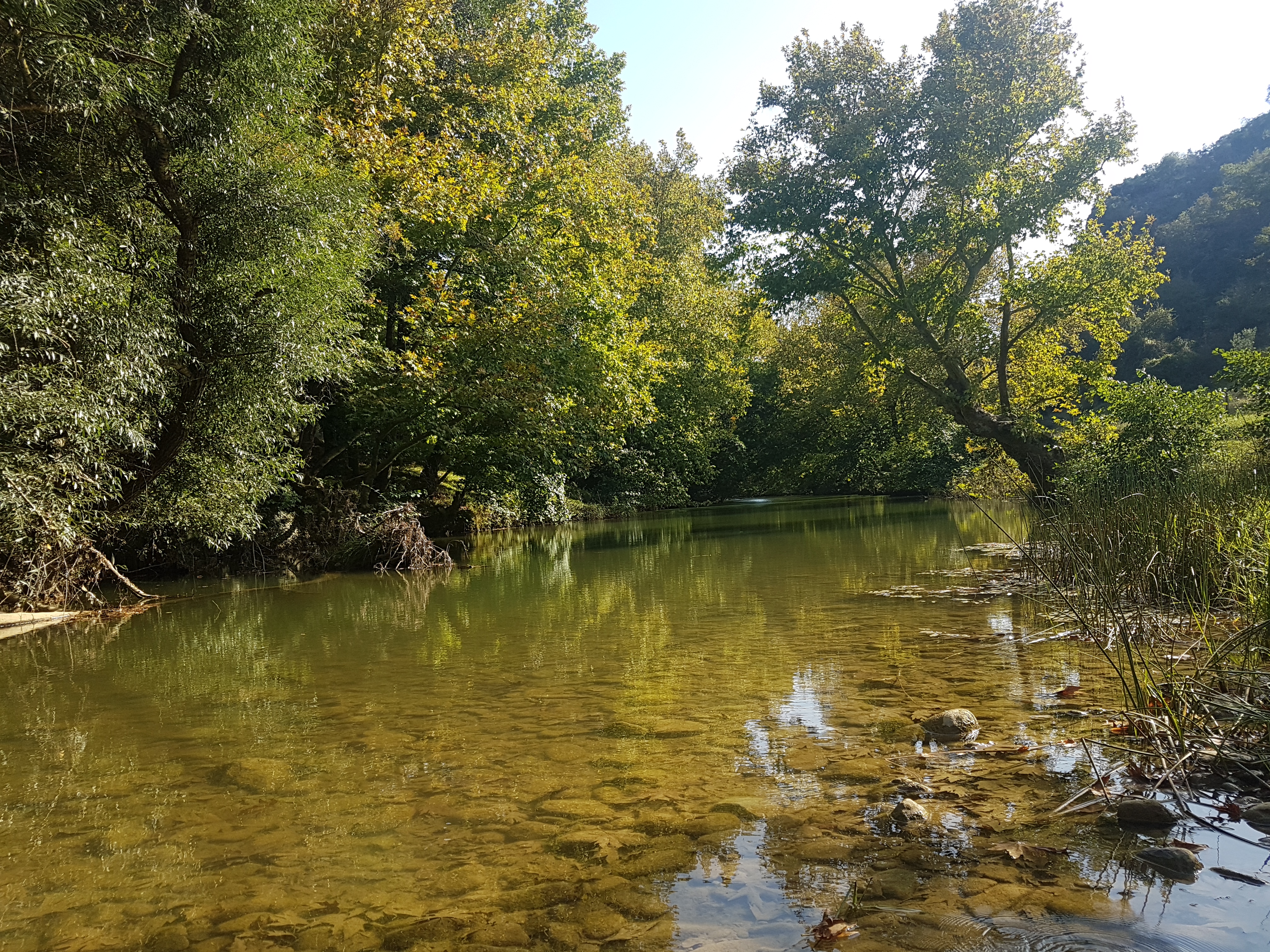 Hacıllı