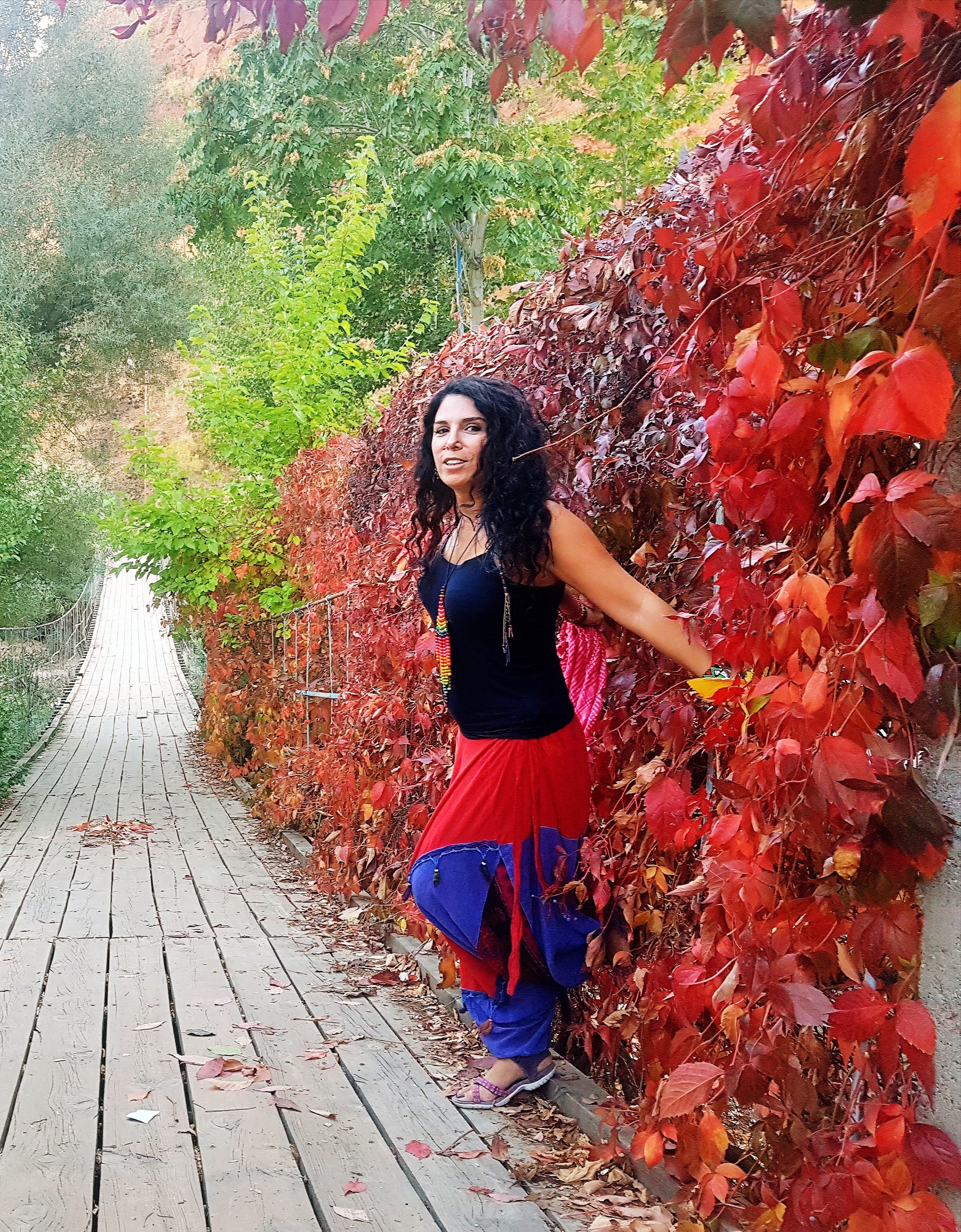 Munzur çayı asma köprü