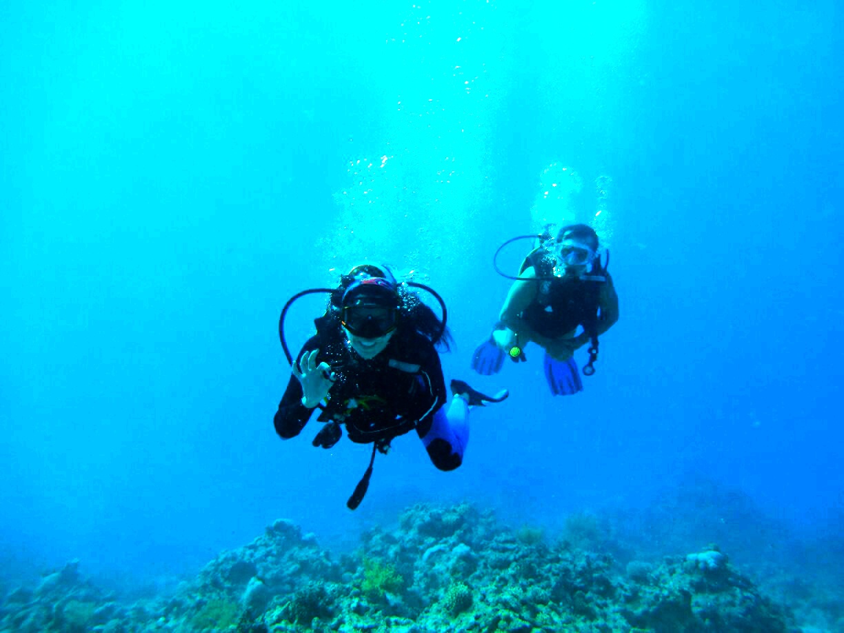 Sharm El-Şeyh Dalış