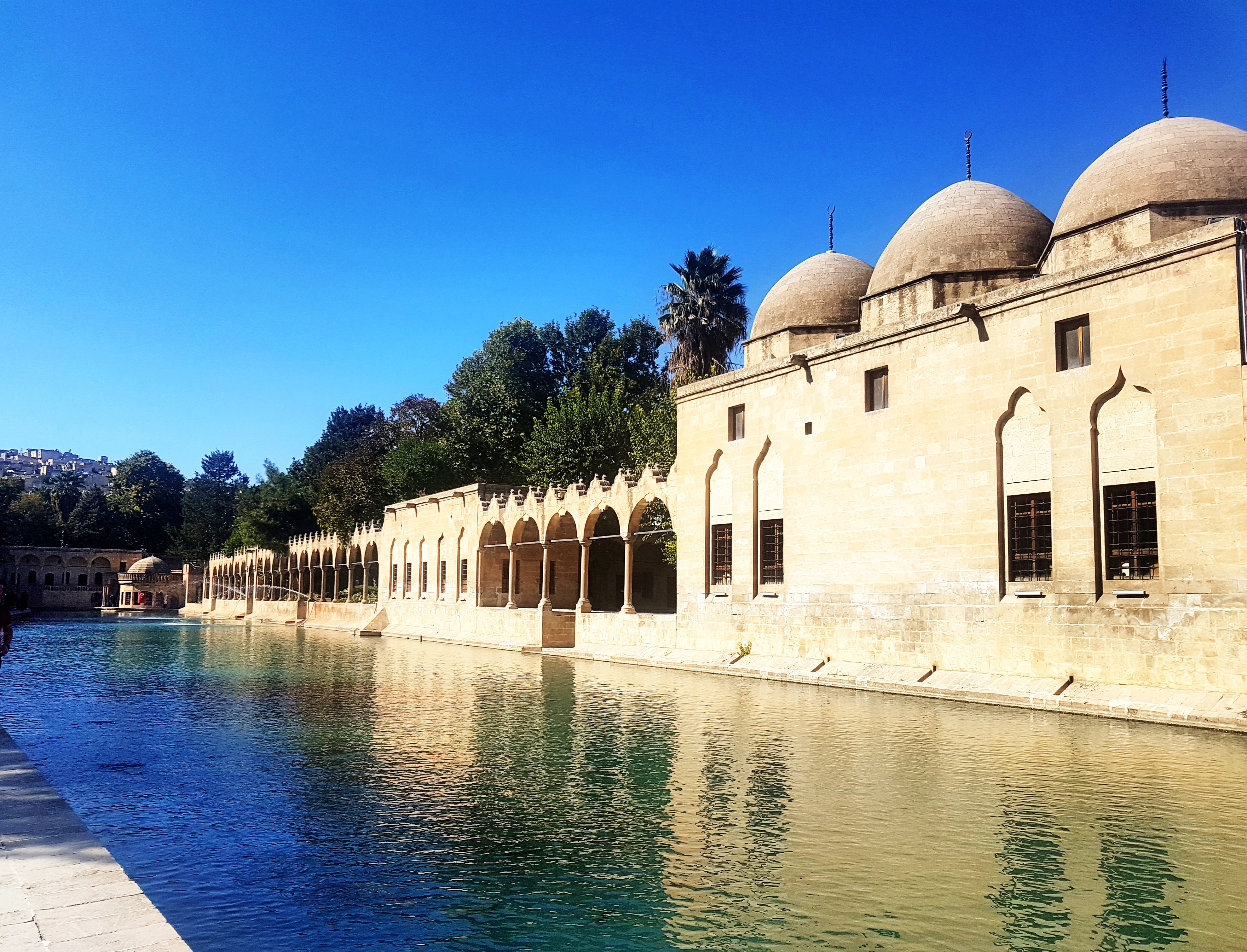 Şanlıurfa Balıklı Göl