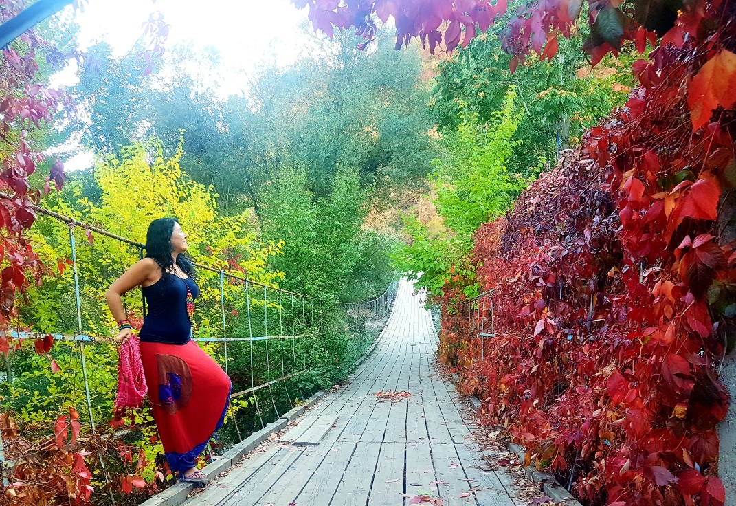 Tunceli asma köprü