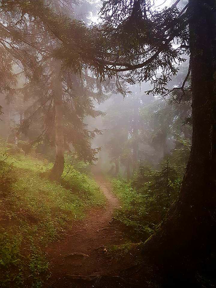 Sal Yaylası, Pokut yaylası arası Kaçkarlar
