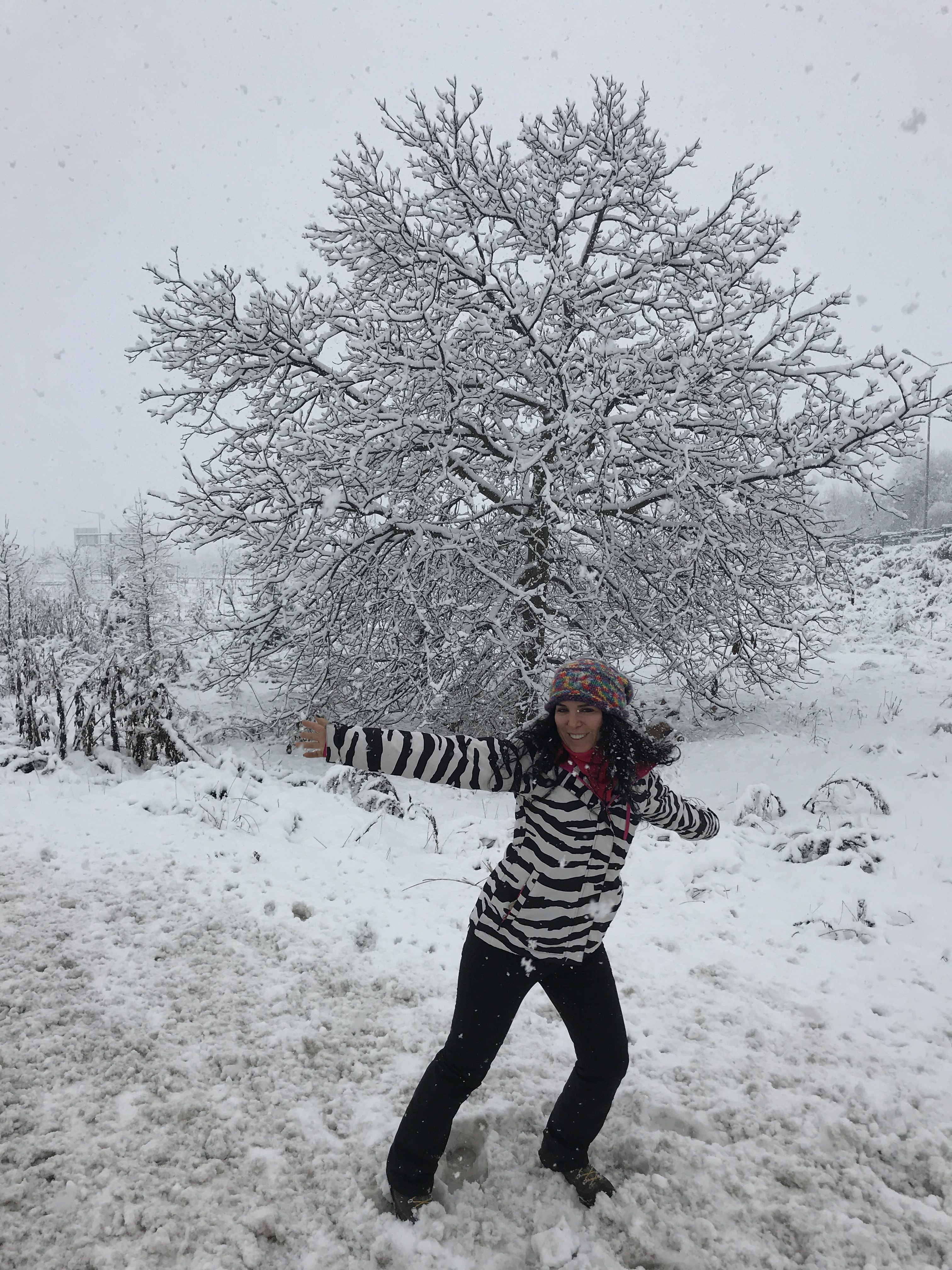 Uludağ yolu