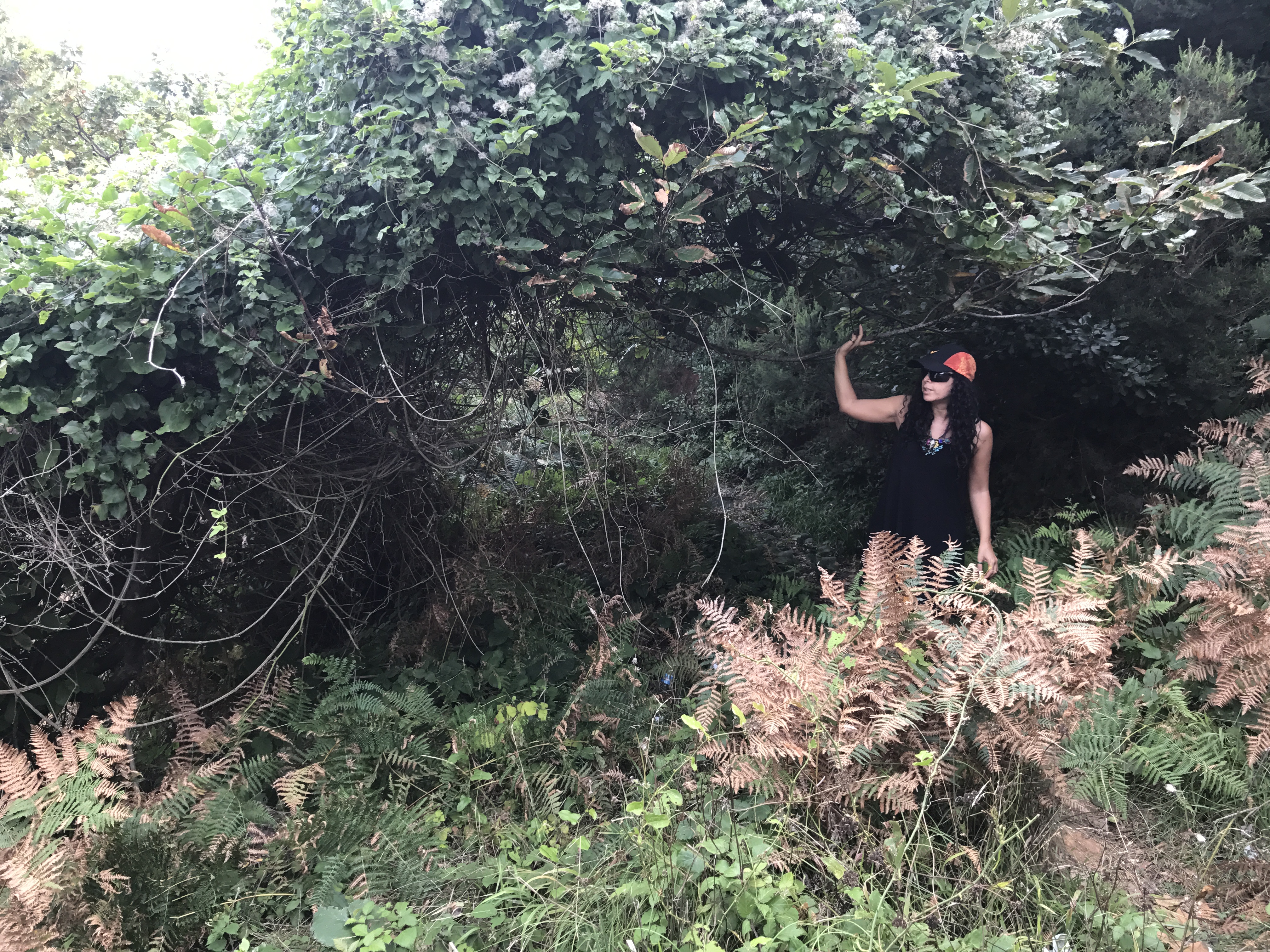 İpsiz Recep'in Koyu yolu