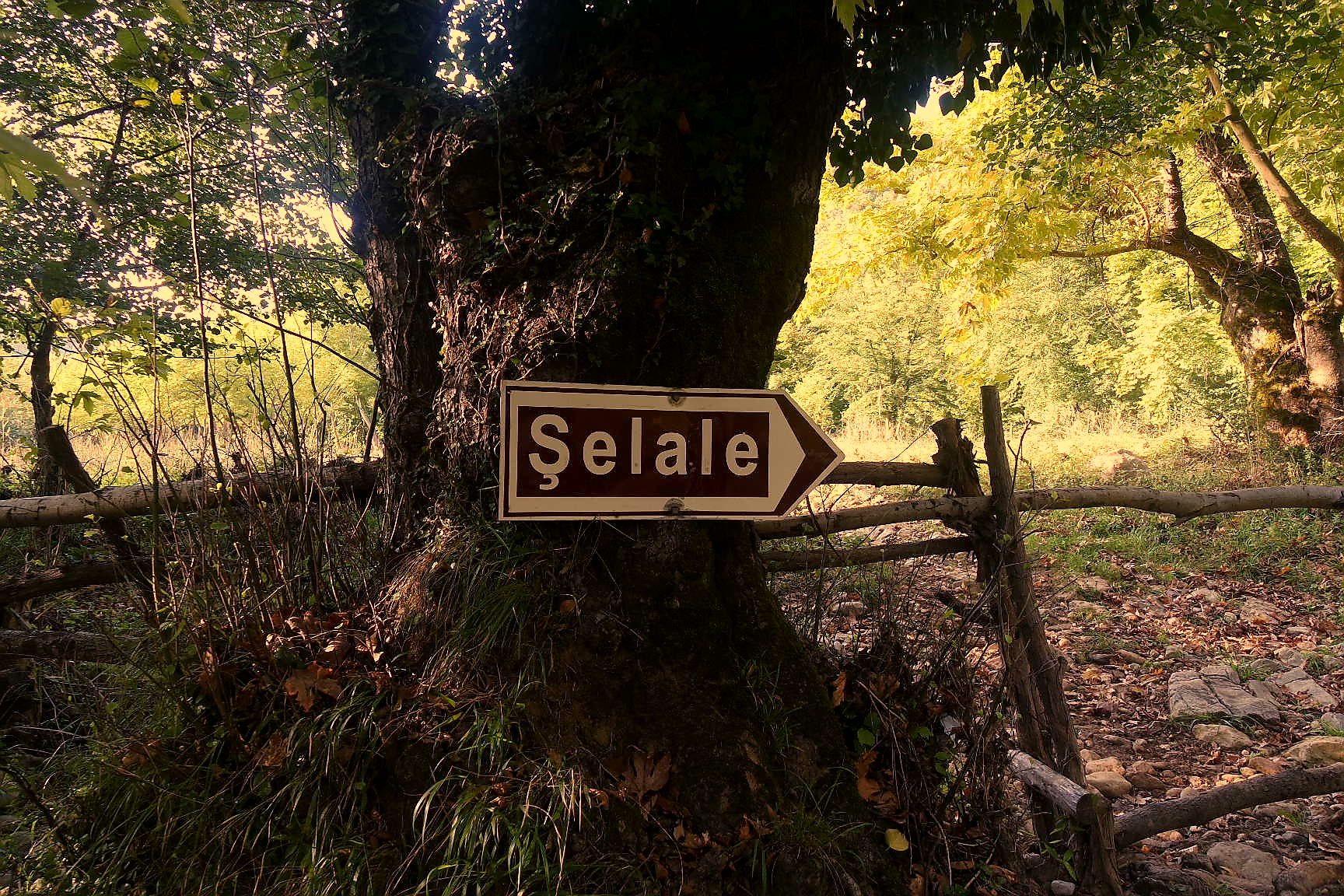 Hacıllı Şelalesi yolu