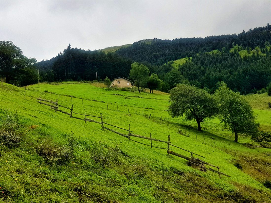 D-915 yolu sonunda ki manzaralar