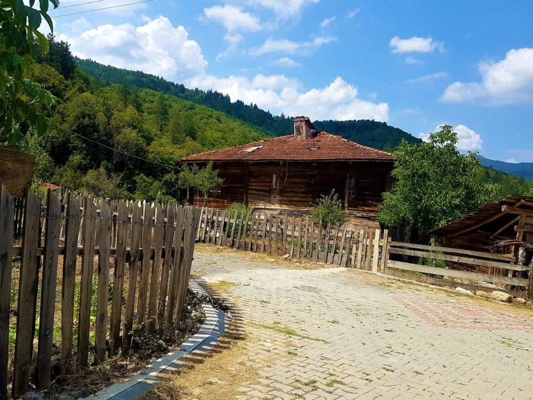 Ilıca Şelalesi'ne giden yol buradan başlıyor